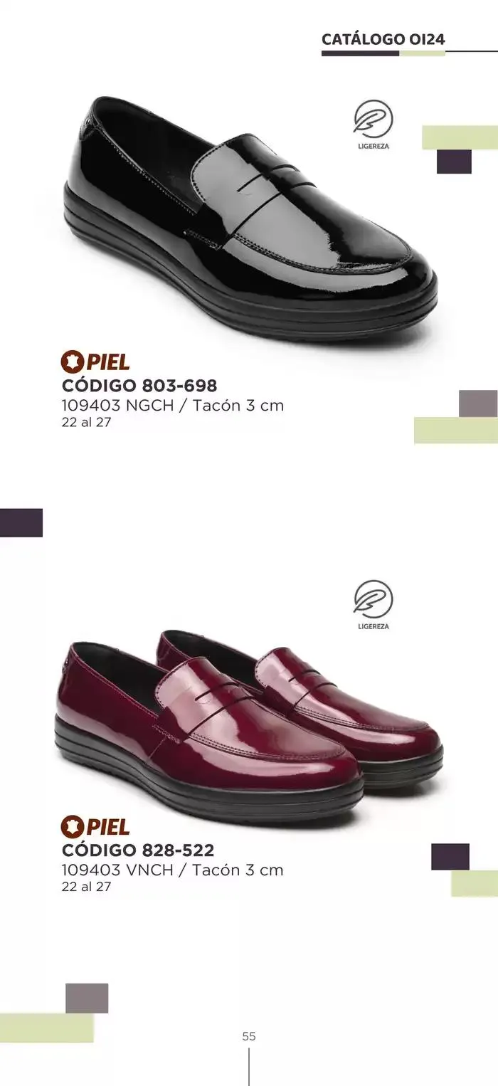 Catálogo de Pakar Flexi 23 de octubre al 31 de enero 2025 - Pagina 55