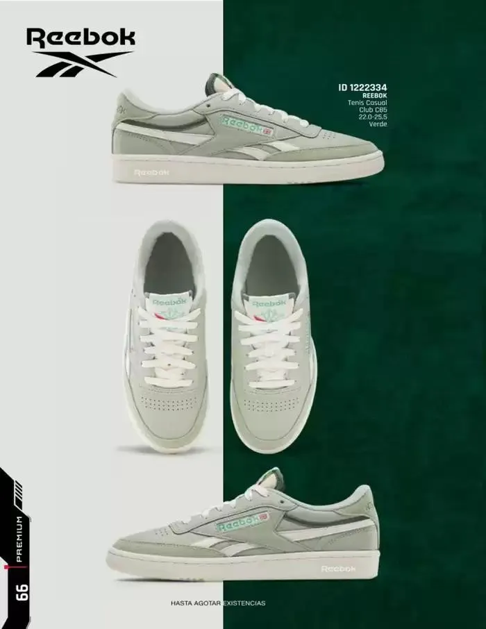 Catálogo de IMP PREMIUM  16 de diciembre al 16 de marzo 2025 - Pagina 66