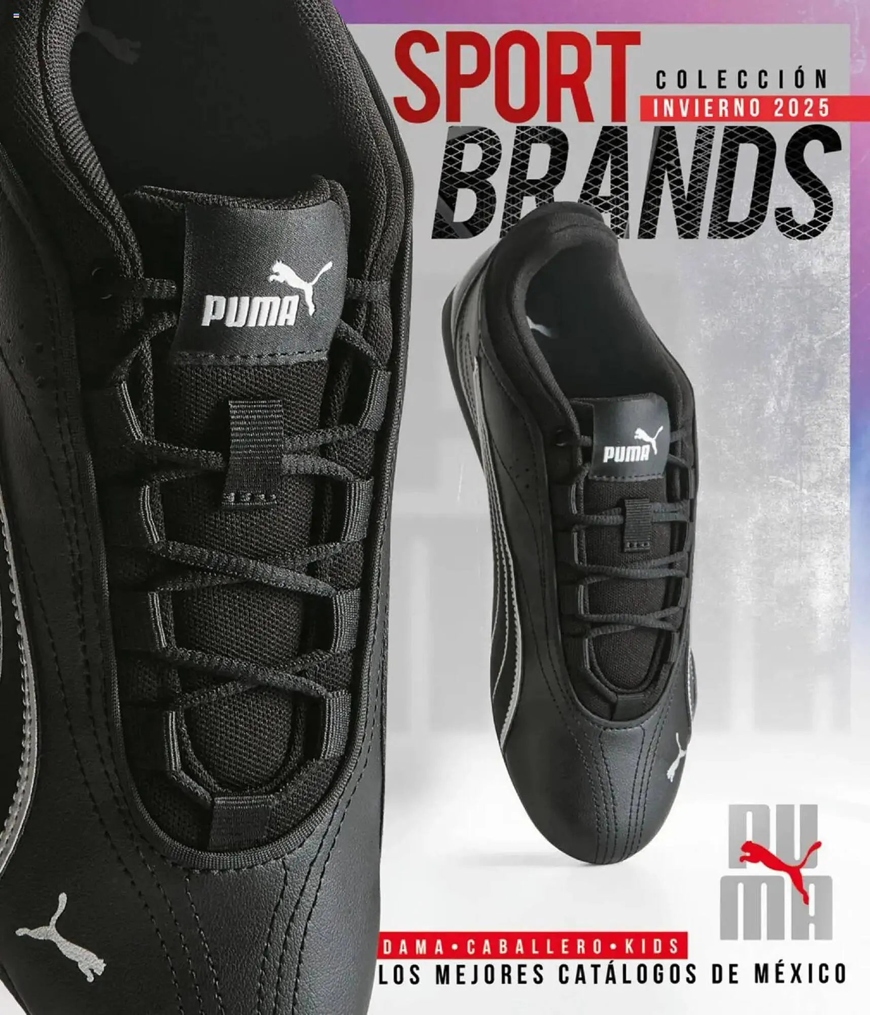 Catálogo de Catálogo Cklass 16 de septiembre al 1 de marzo 2026 - Pagina 306