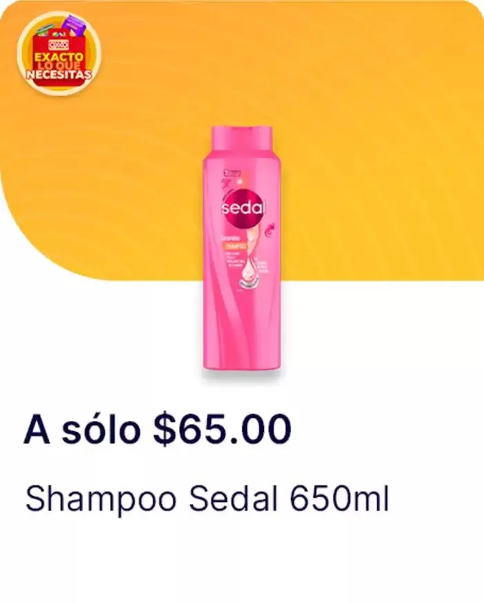 Catálogo de Gangas exclusivas 7 de abril al 14 de mayo 2025 - Pagina 41