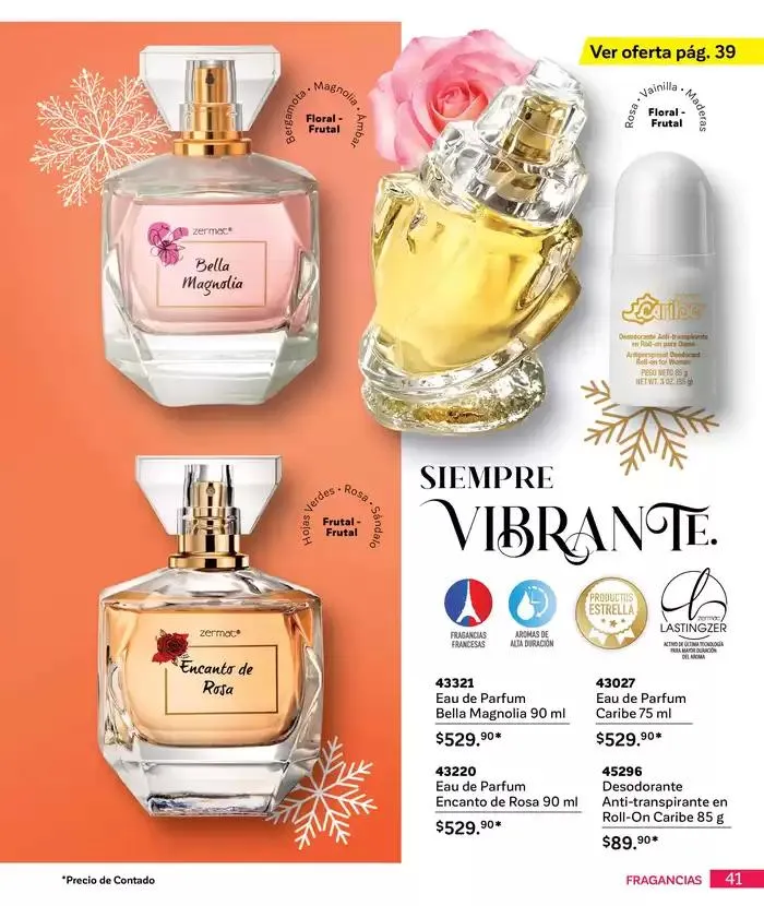 Catálogo de La esencia que transforma. 4 de diciembre al 31 de diciembre 2024 - Pagina 41