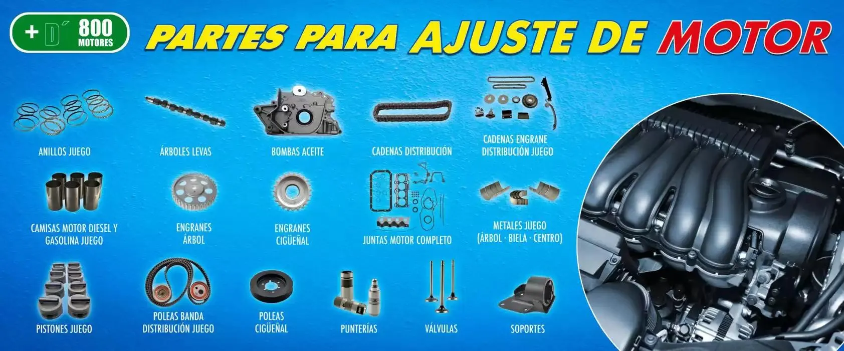 Catálogo de Ofertas de Enero 3 de enero al 31 de enero 2025 - Pagina 2