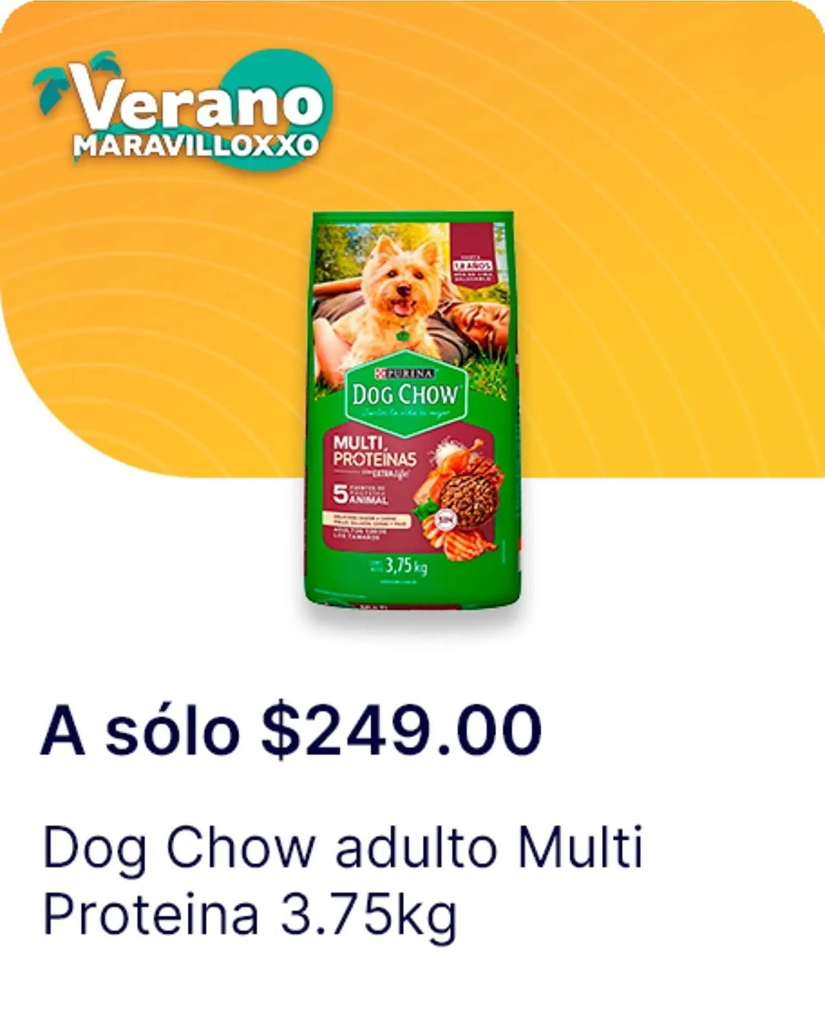 Catálogo de Catálogo OXXO 13 de agosto al 20 de agosto 2025 - Pagina 56
