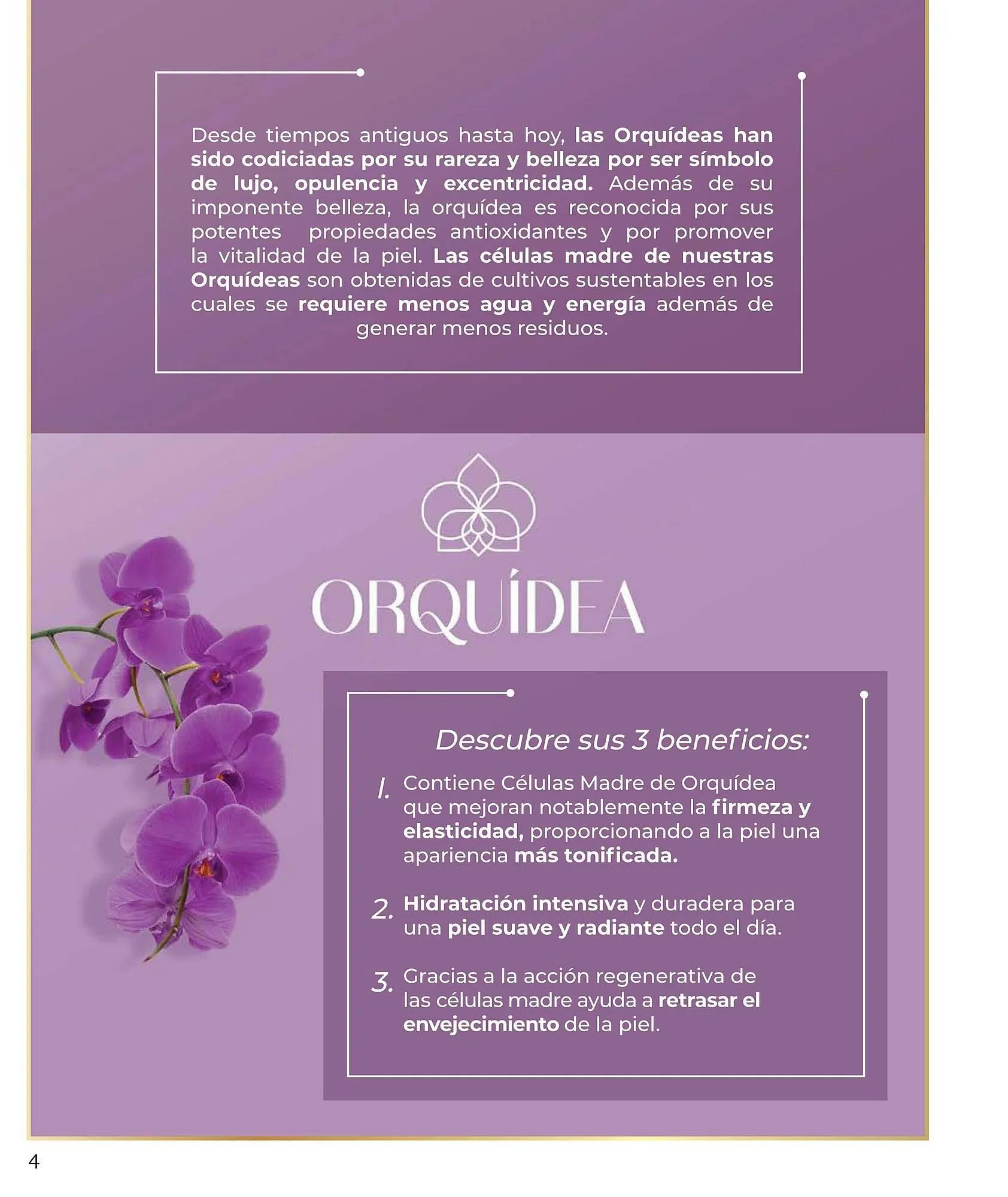 Catálogo de Catálogo Zermat 1 de julio al 31 de julio 2025 - Pagina 121