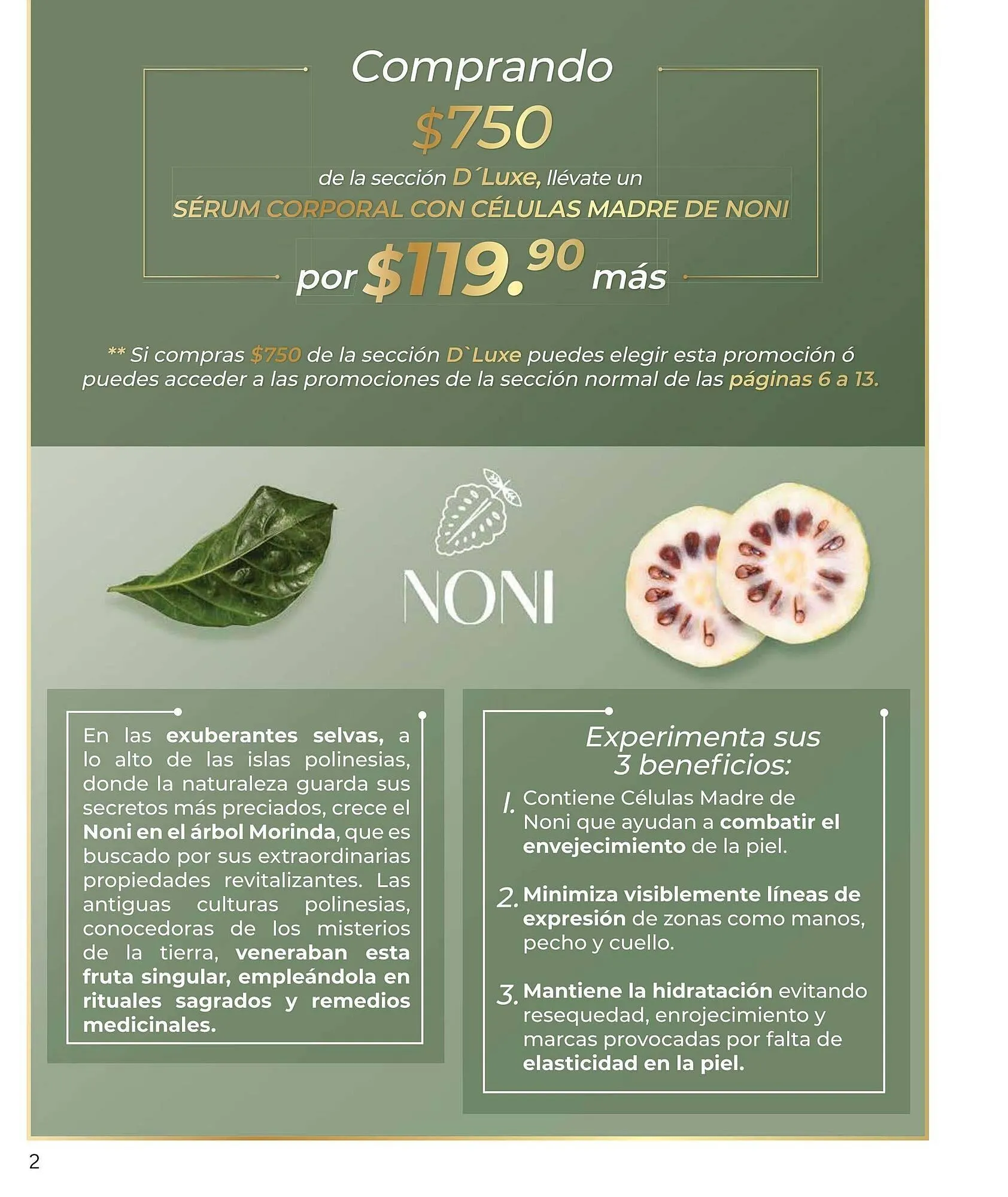 Catálogo de Catálogo Zermat 1 de julio al 31 de julio 2025 - Pagina 123