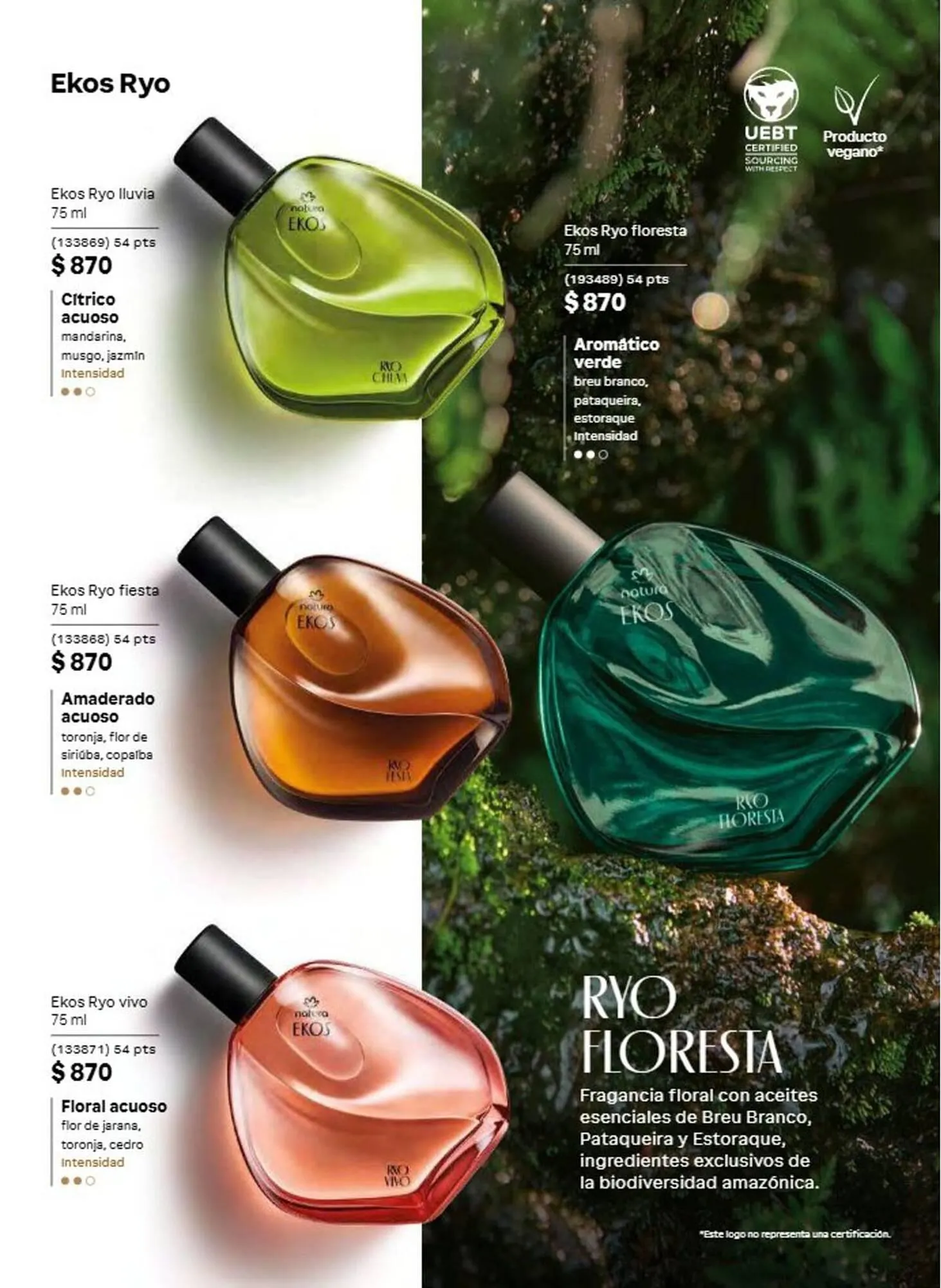 Catálogo de Catálogo Natura 1 de agosto al 31 de agosto 2026 - Pagina 41