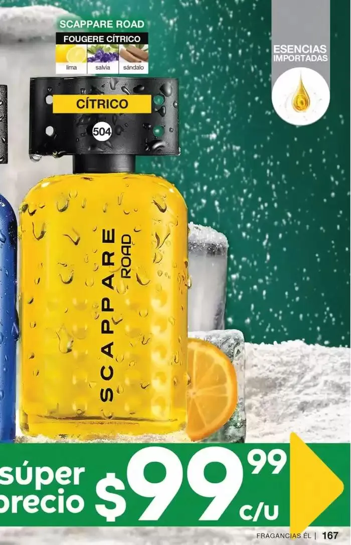 Catálogo de Fuller CAMPAÑA 24 7 de marzo al 25 de marzo 2025 - Pagina 169