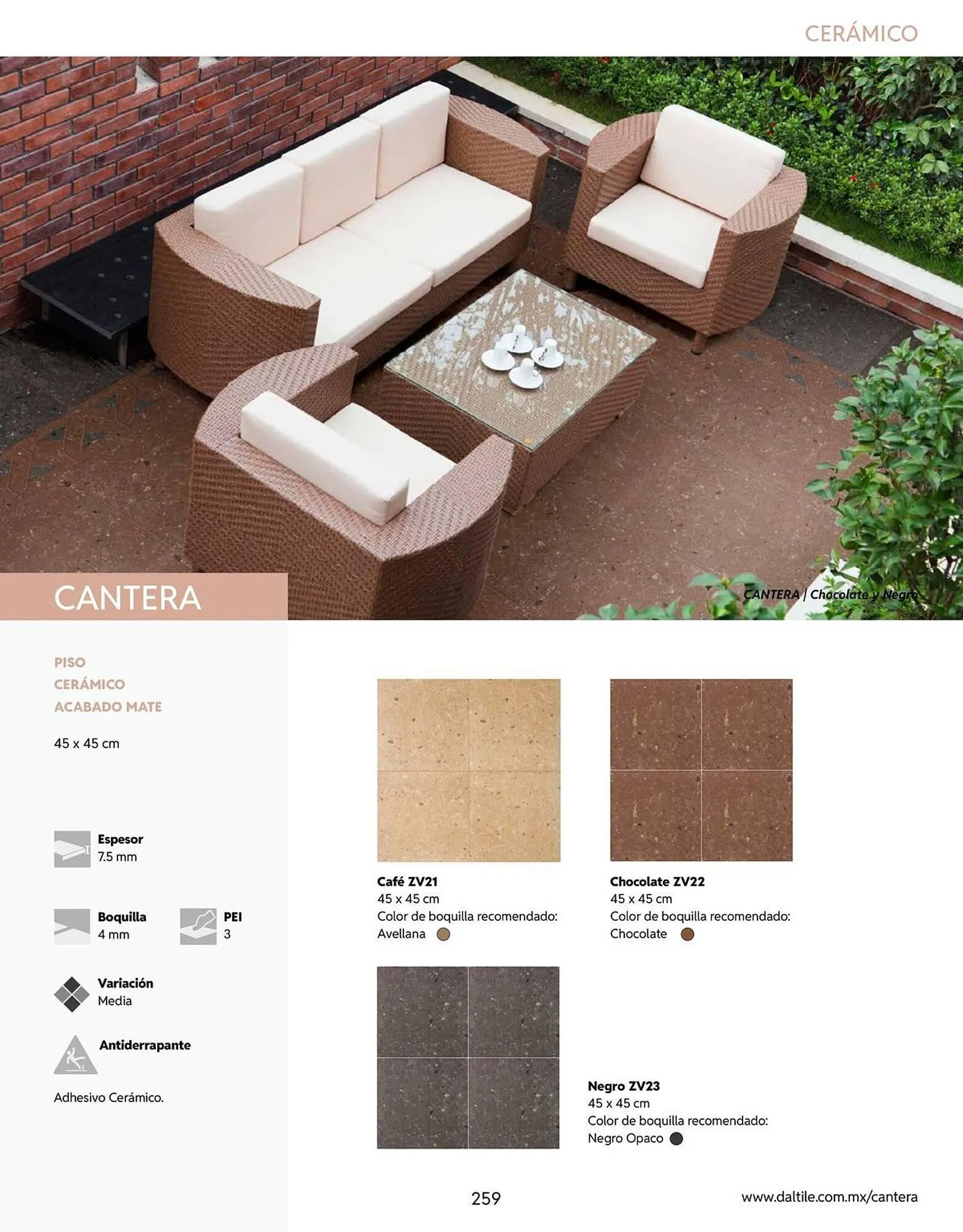 Catálogo de Catálogo Daltile 13 de enero al 31 de diciembre 2026 - Pagina 259