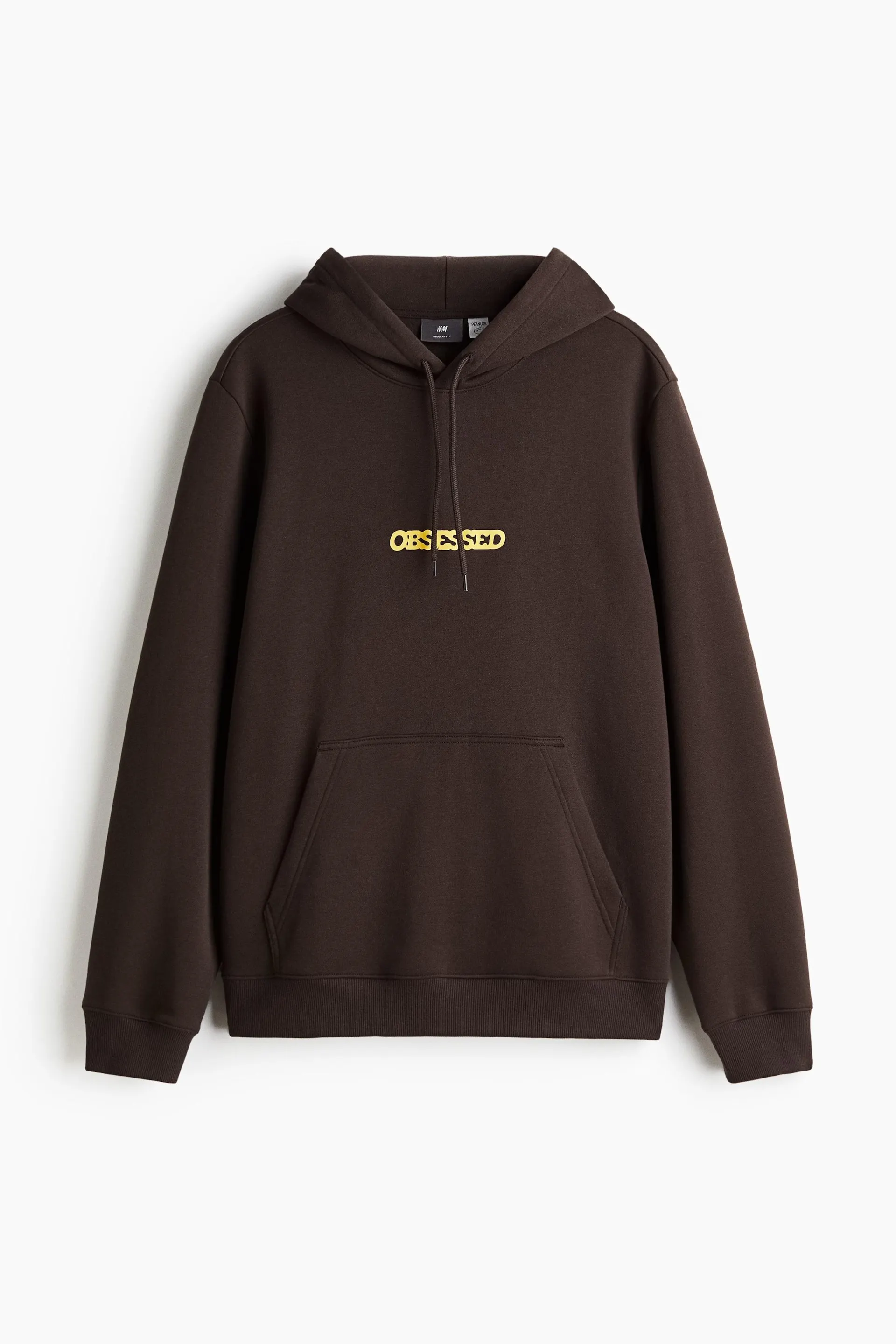 Sudadera con gorro Regular Fit