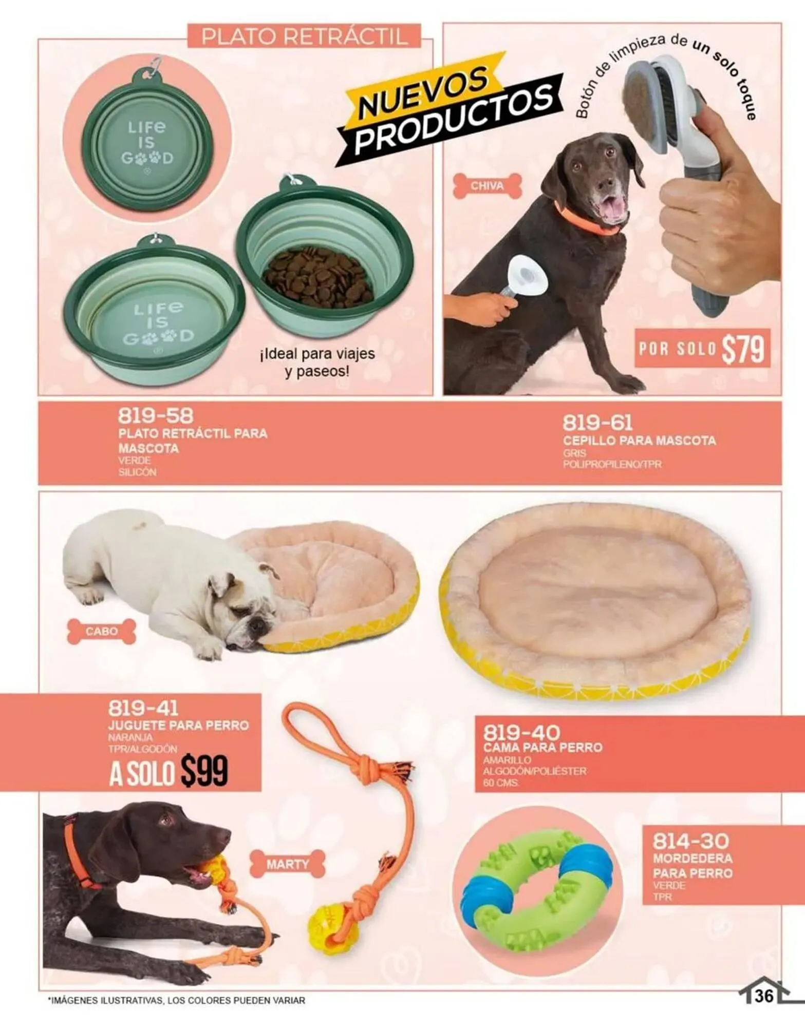 Catálogo de Catálogo Cklass 11 de julio al 31 de diciembre 2025 - Pagina 37