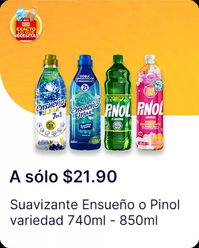 Catálogo de Exacto lo que necesitas 7 de enero al 22 de enero 2025 - Pagina 81