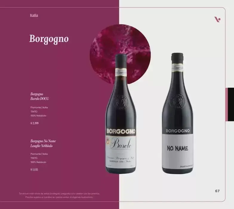 Catálogo de Catálogo 2025 5 de noviembre al 31 de diciembre 2025 - Pagina 67