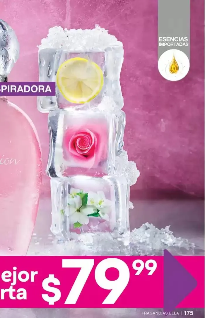 Catálogo de Fuller CAMPAÑA 24 7 de marzo al 25 de marzo 2025 - Pagina 177