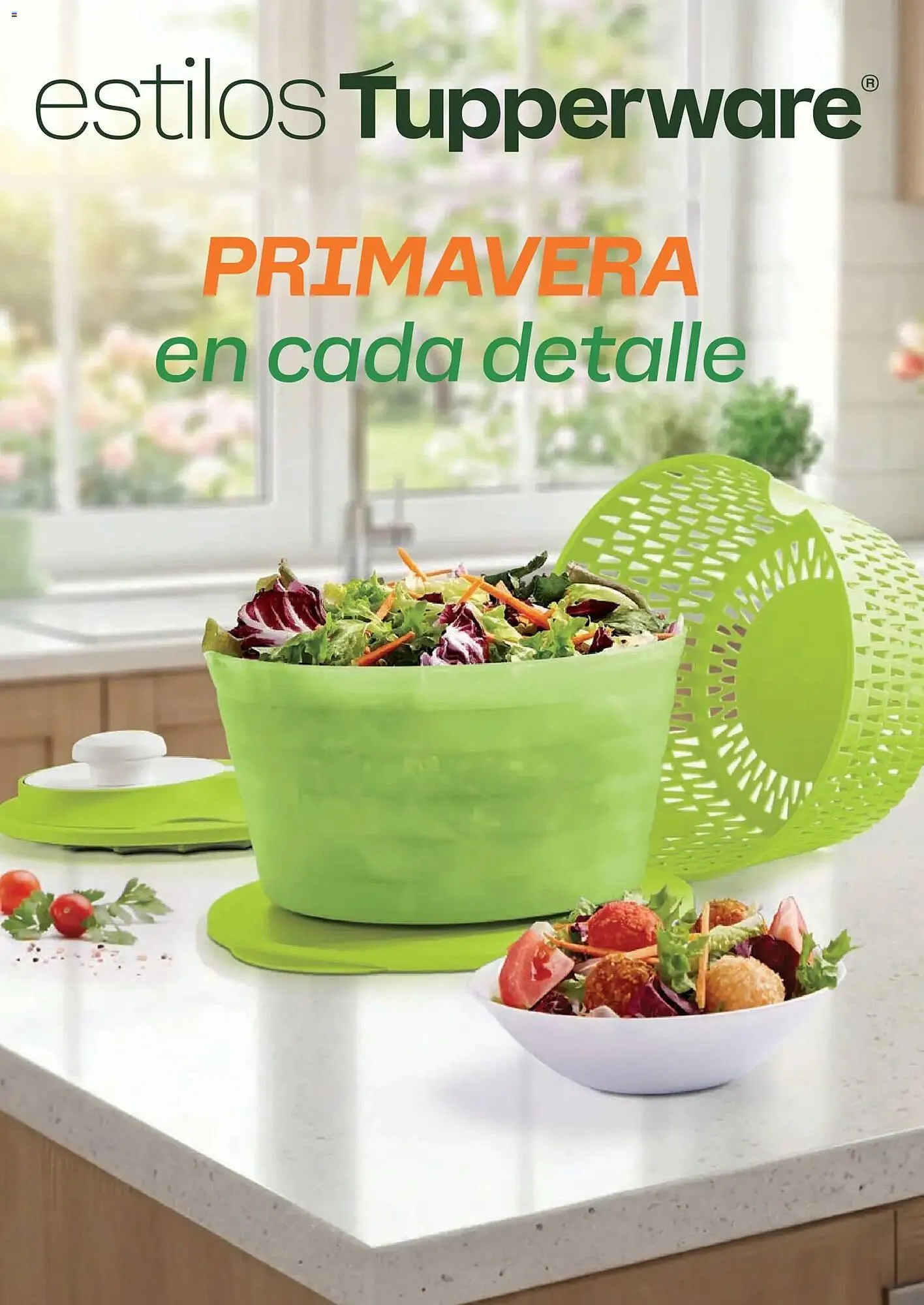 Catálogo de Catálogo Tupperware 23 de febrero al 23 de marzo 2026 - Pagina 95