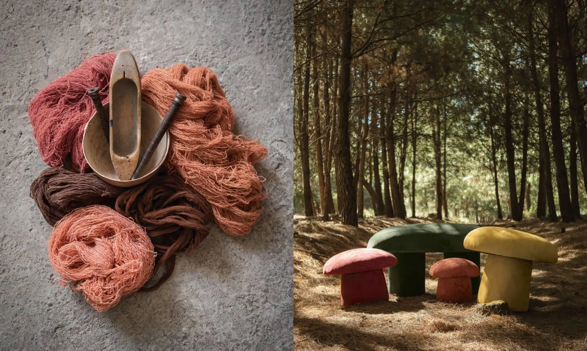 Catálogo de Catálogo Comex 22 de enero al 28 de febrero 2026 - Pagina 45