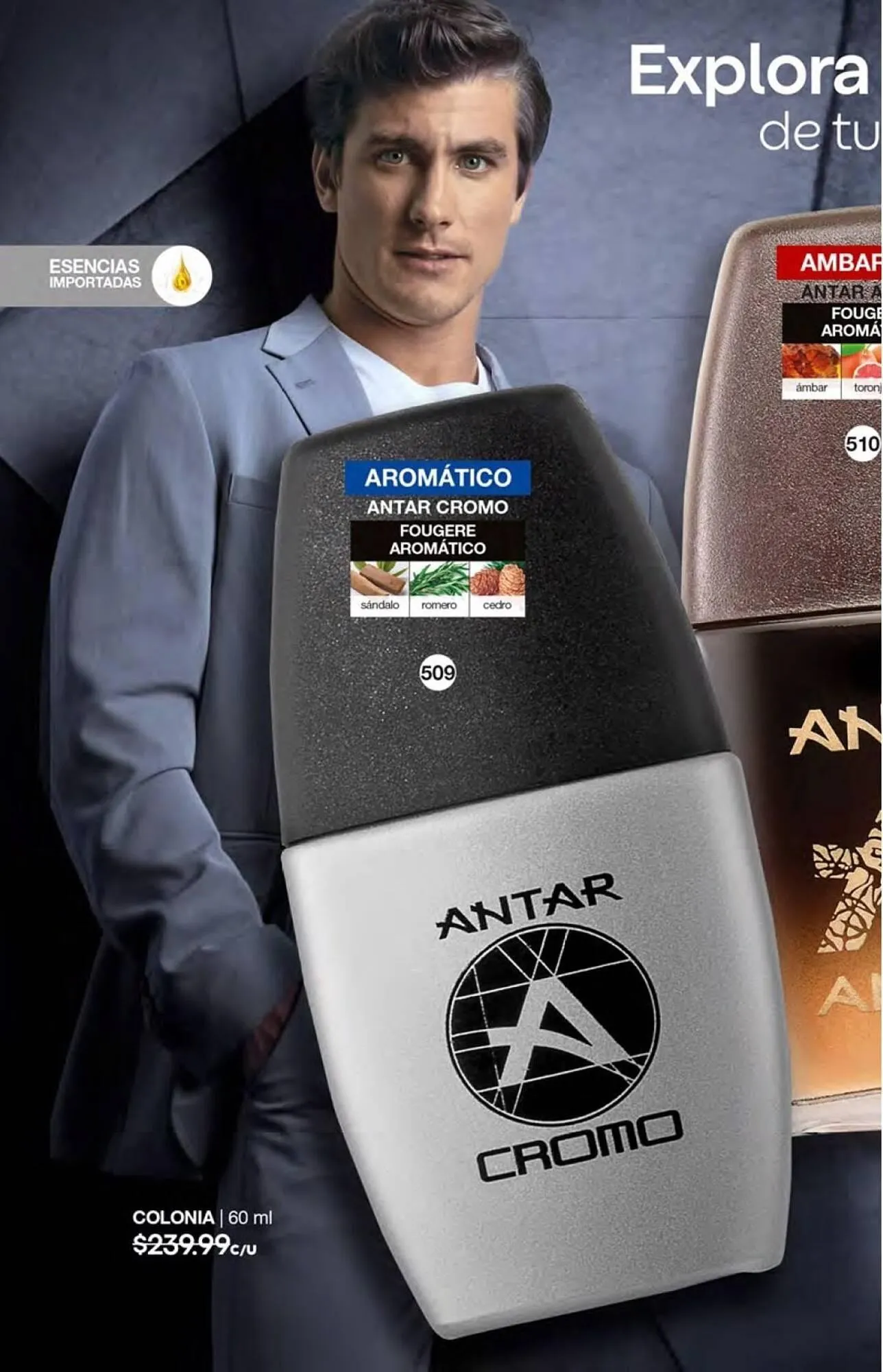 Catálogo de Catálogo Fuller 21 de agosto al 31 de octubre 2025 - Pagina 188