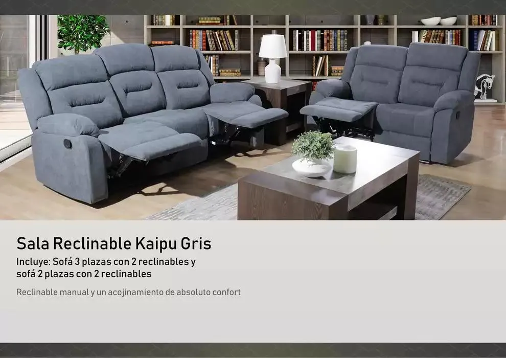 Catálogo de Ofertas Muebles Dico 24 de enero al 31 de diciembre 2025 - Pagina 2