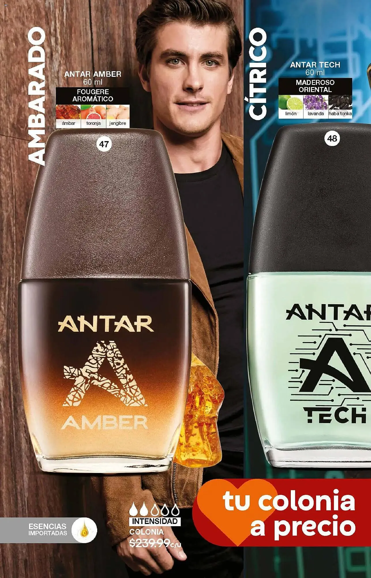 Catálogo de Catálogo Fuller 24 de diciembre al 14 de enero 2026 - Pagina 12