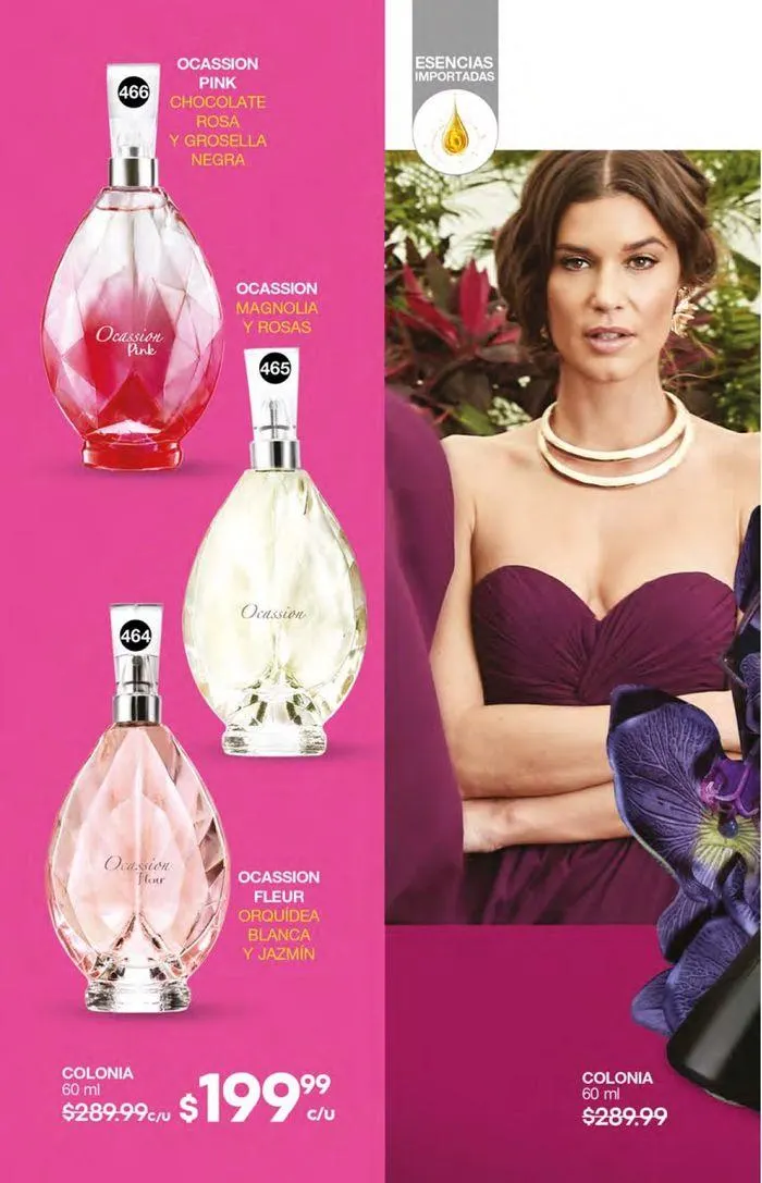 Catálogo de Fuller CAMPAÑA 10 23 de agosto al 10 de septiembre 2024 - Pagina 58