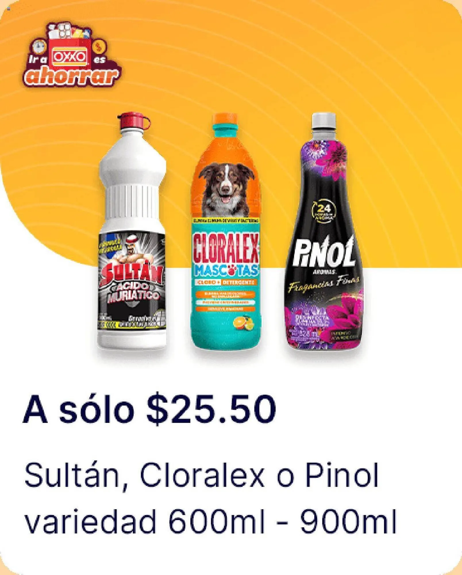 Catálogo de Catálogo OXXO 4 de enero al 24 de enero 2024 - Pagina 8