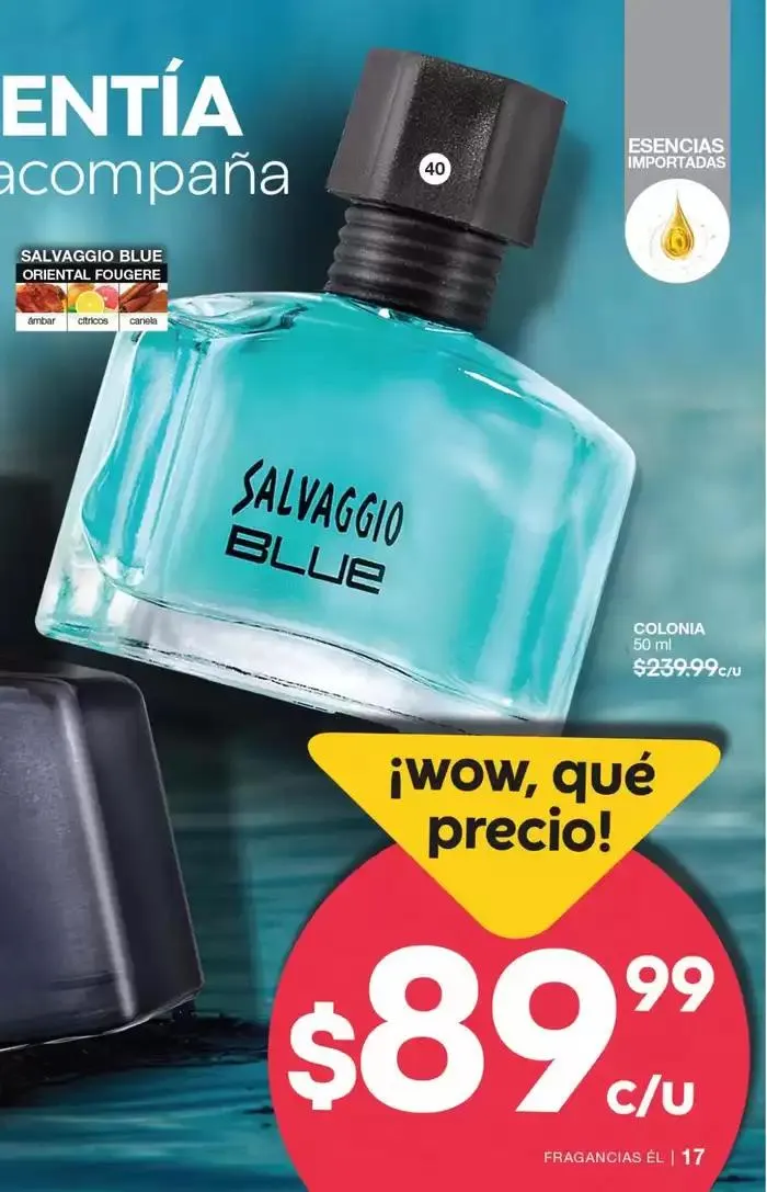 Catálogo de Fuller CAMPAÑA 21 23 de enero al 11 de febrero 2025 - Pagina 17