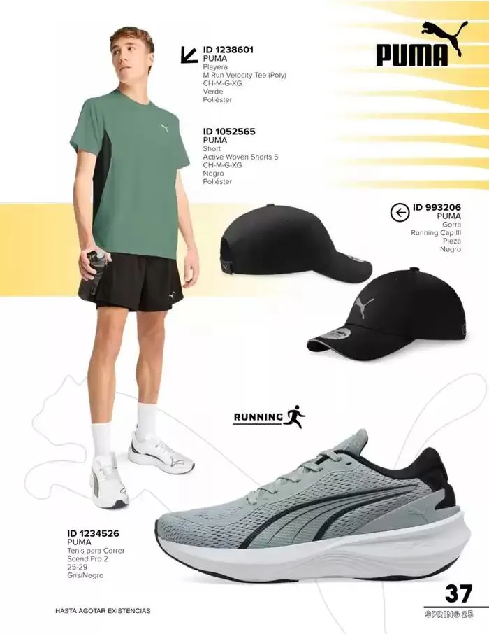 Catálogo de IMP SPRING | 2025 | 1E 17 de febrero al 28 de febrero 2025 - Pagina 39