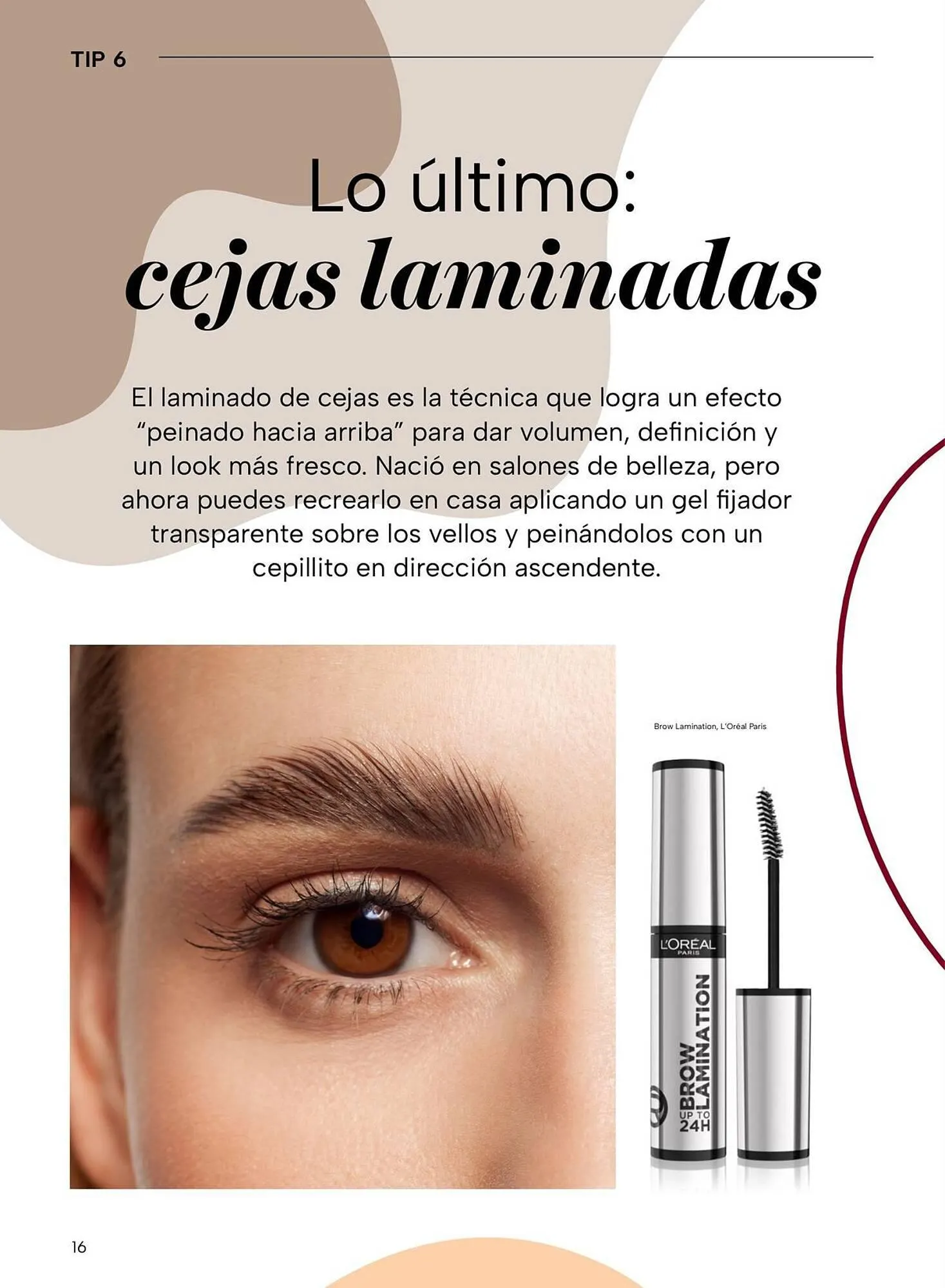 Catálogo de Folleto Chedraui 5 de noviembre al 31 de diciembre 2025 - Pagina 16