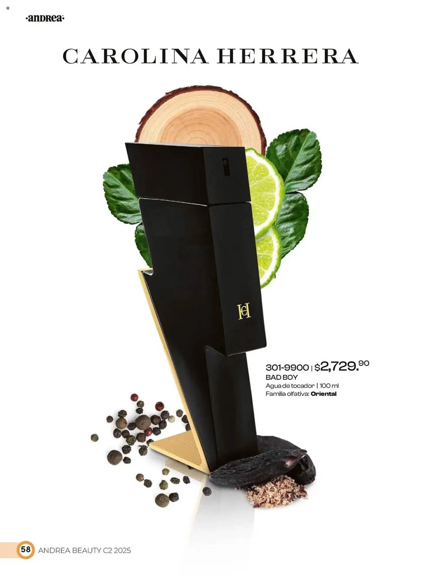 Catálogo de Catálogo Andrea 23 de marzo al 24 de mayo 2025 - Pagina 58