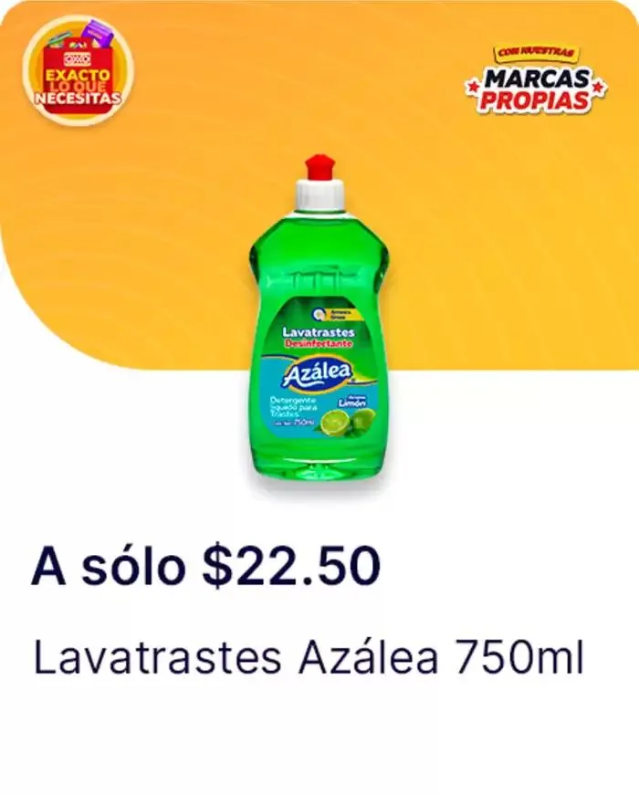 Catálogo de Gangas exclusivas 7 de abril al 14 de mayo 2025 - Pagina 104