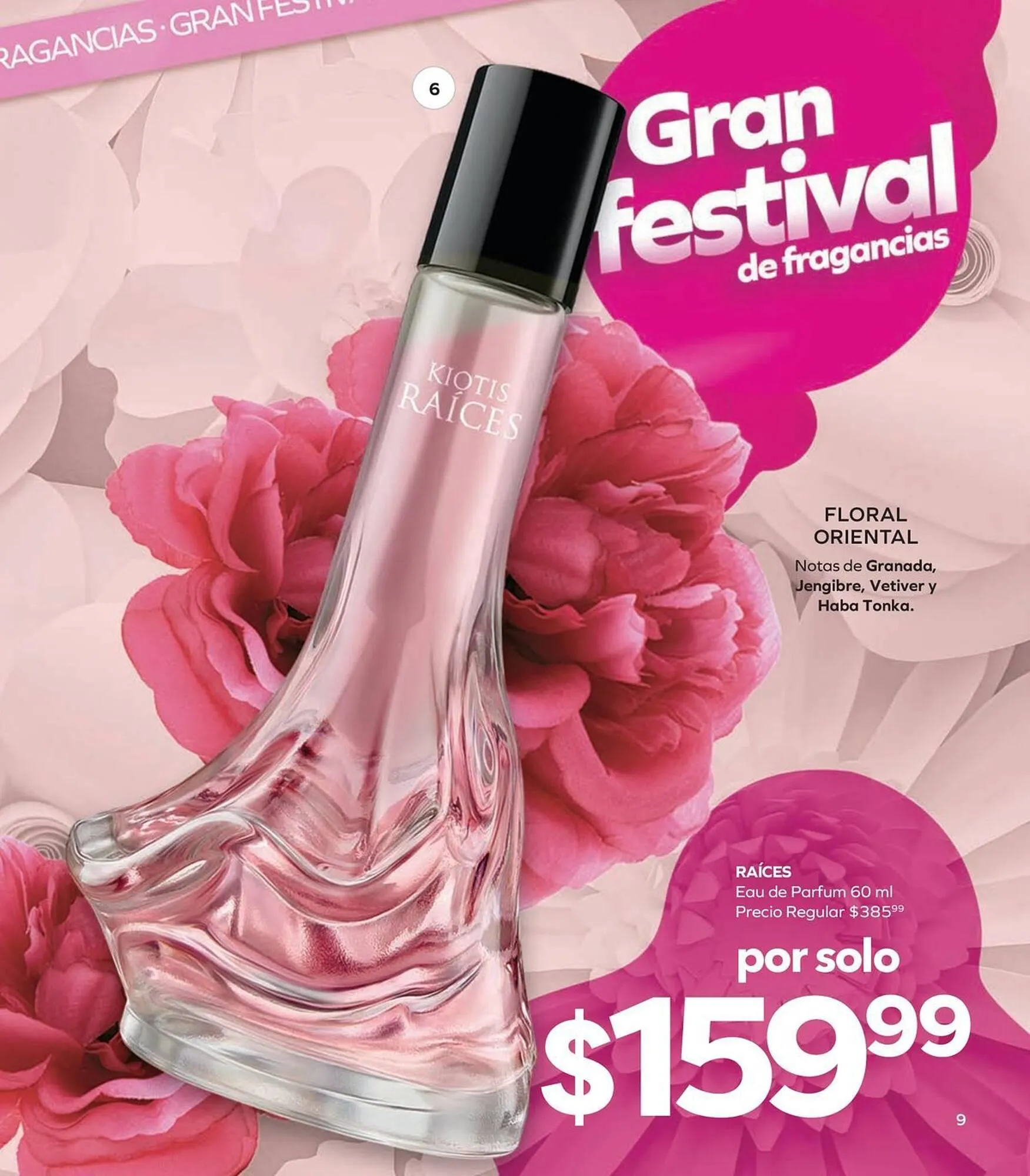 Catálogo de Catálogo Stanhome 19 de enero al 6 de febrero 2026 - Pagina 11