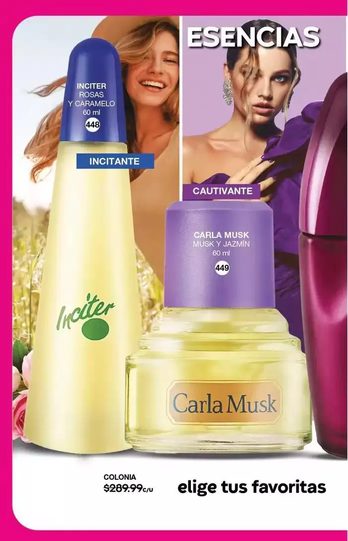 Catálogo de Fuller CAMPAÑA 24 7 de marzo al 25 de marzo 2025 - Pagina 142