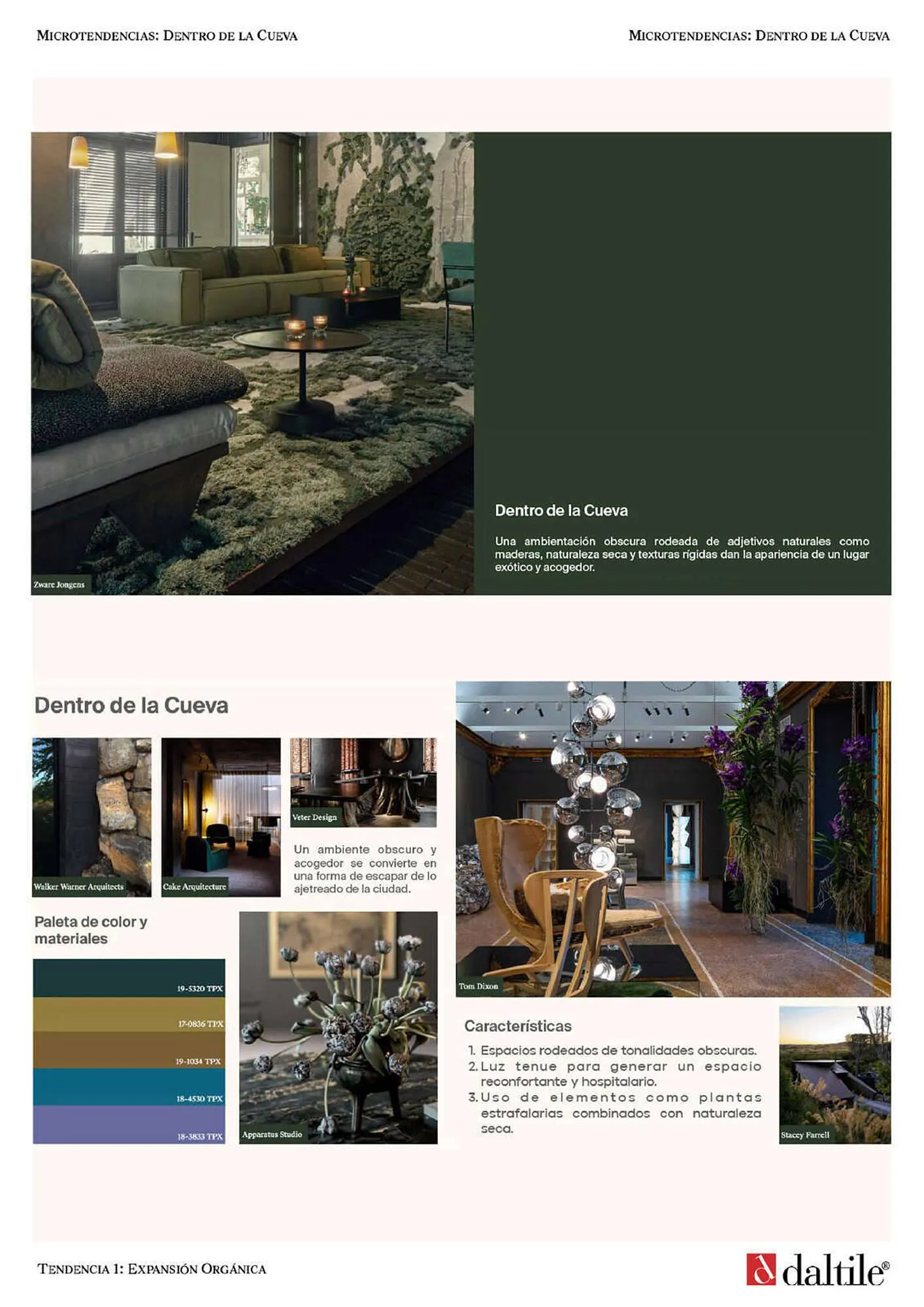 Catálogo de Catálogo Daltile 28 de septiembre al 31 de enero 2024 - Pagina 12