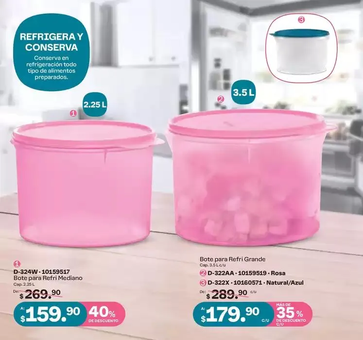 Catálogo de Tupper Tips 14 15 de octubre al 10 de noviembre 2024 - Pagina 46