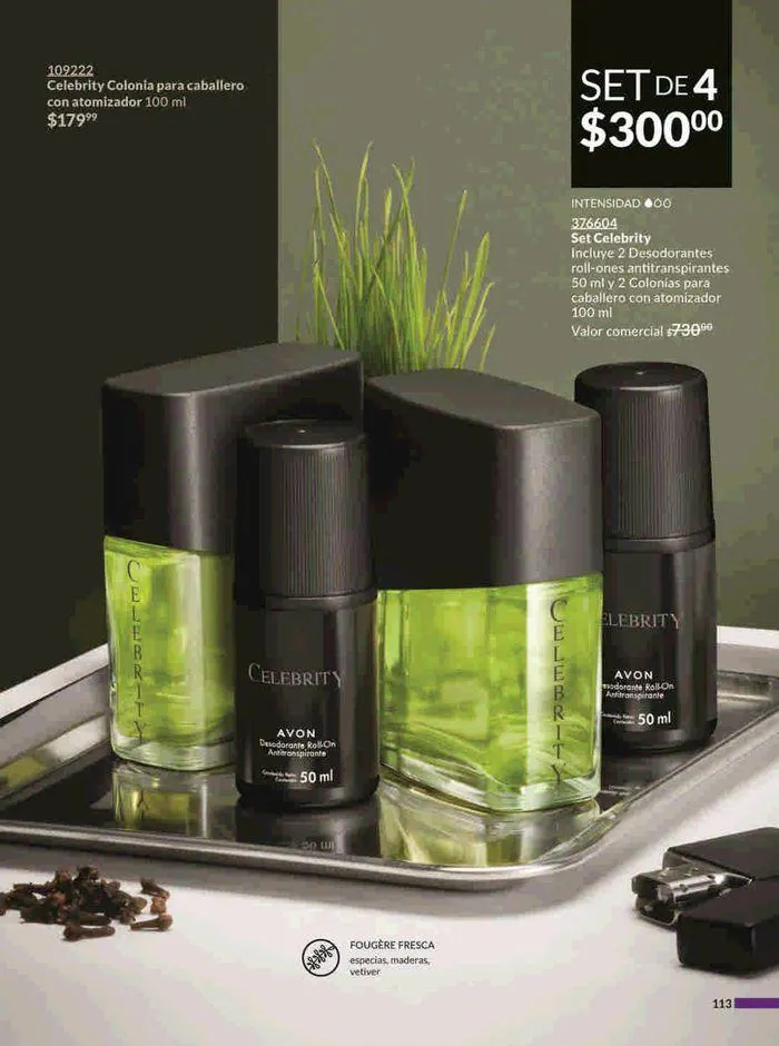 Catálogo de Avon COSMÉTICOS C15 14 de agosto al 18 de septiembre 2024 - Pagina 113