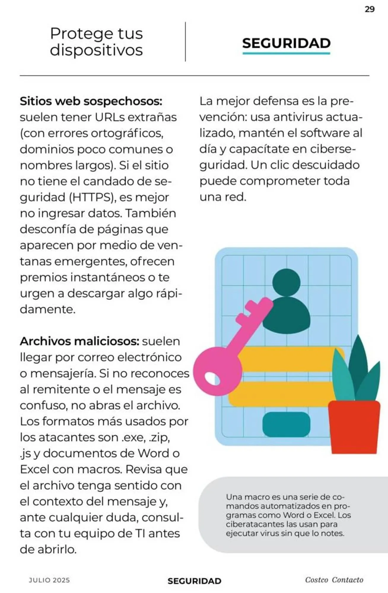 Catálogo de Catálogo Costco 1 de julio al 31 de julio 2025 - Pagina 29