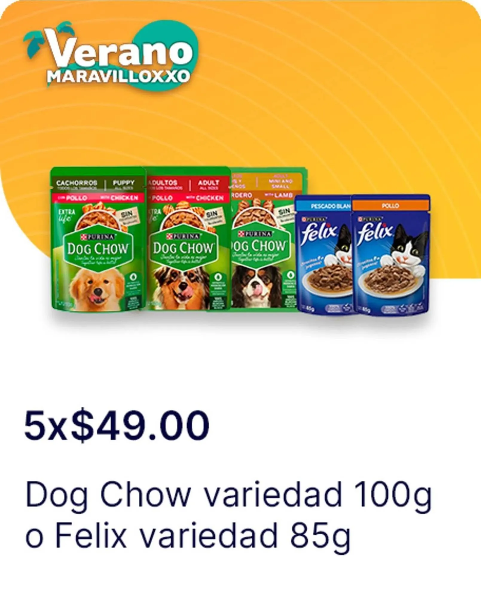 Catálogo de Catálogo OXXO 13 de junio al 16 de julio 2025 - Pagina 17