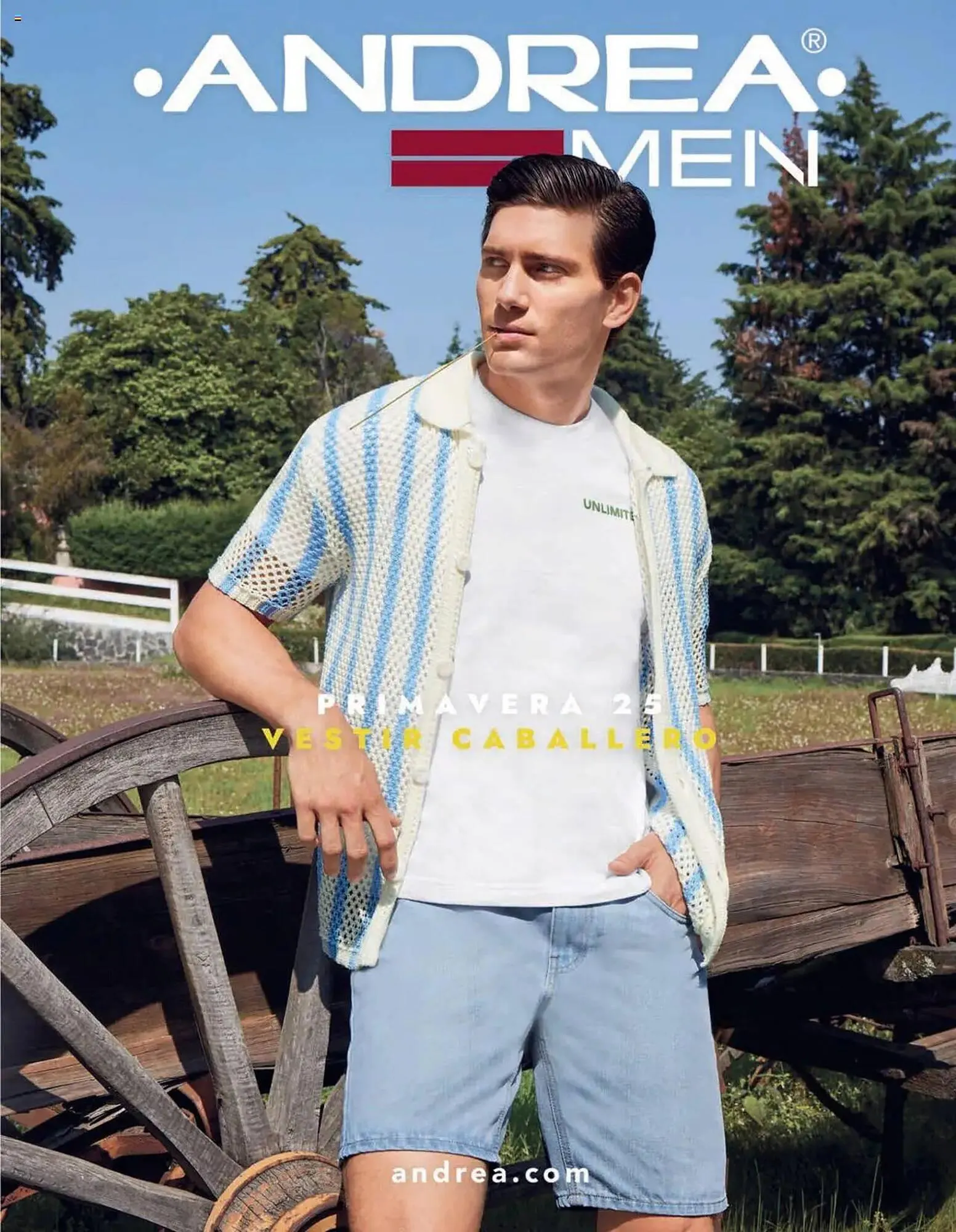 Catálogo de Catálogo Andrea 26 de enero al 24 de mayo 2025 - Pagina 1