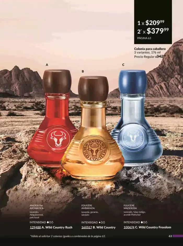 Catálogo de Avon COSMÉTICOS C2 3 de enero al 3 de febrero 2025 - Pagina 63