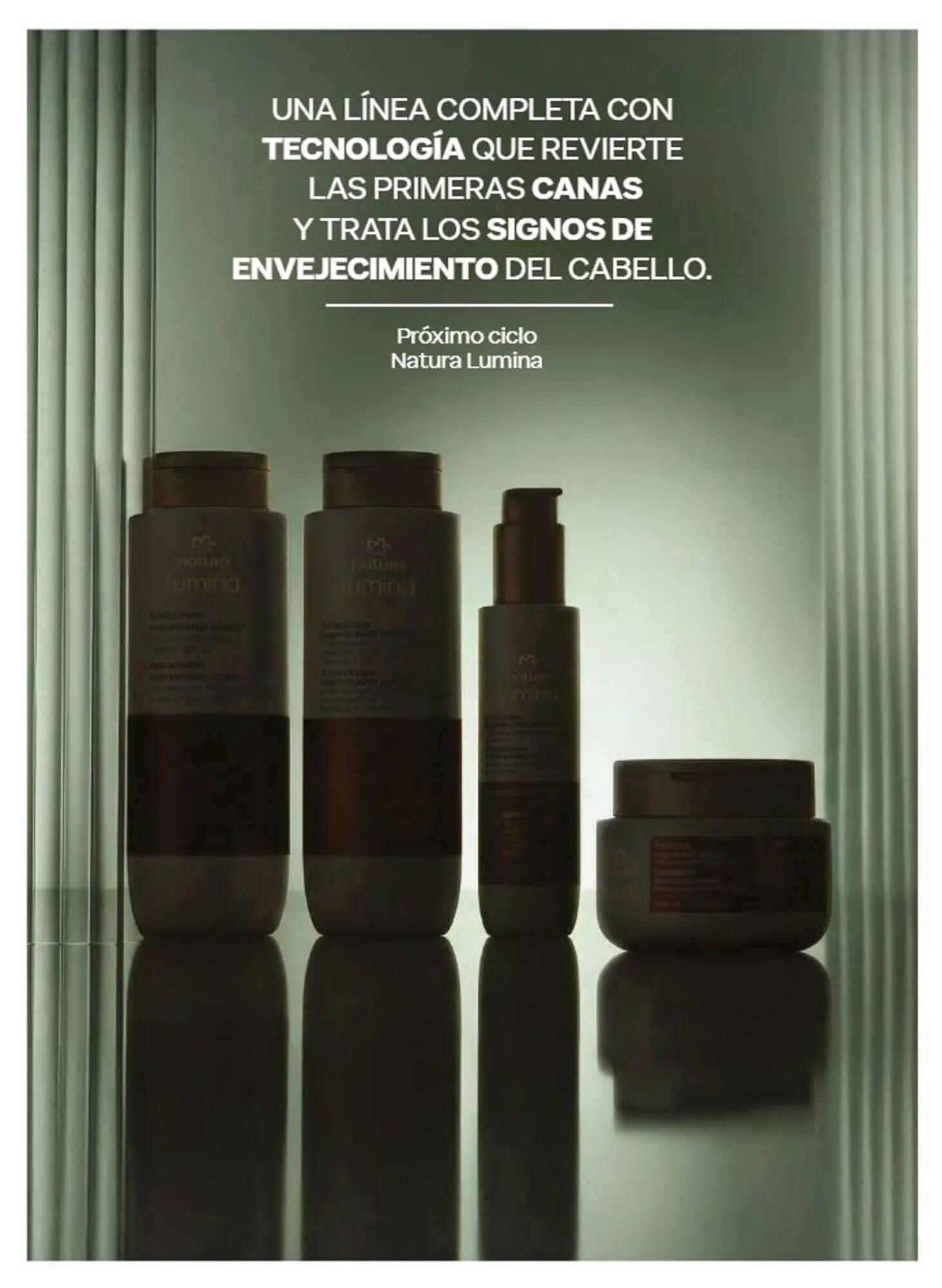 Catálogo de Catálogo Natura 1 de agosto al 31 de agosto 2026 - Pagina 141