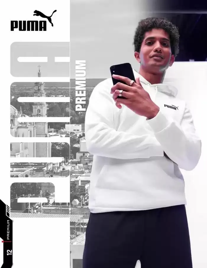 Catálogo de IMP PREMIUM 16 de diciembre al 16 de marzo 2025 - Pagina 12