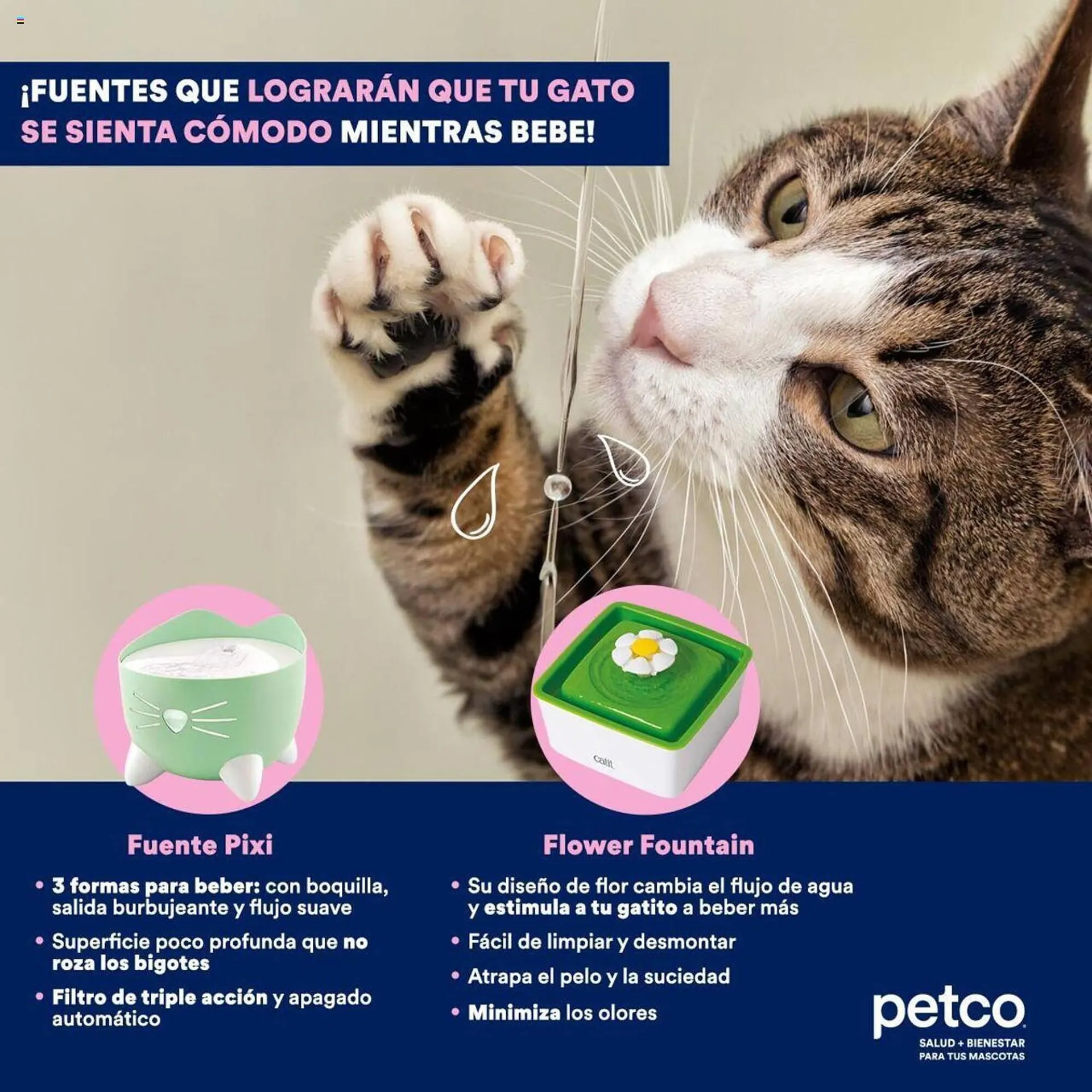 Catálogo de Catálogo Petco 13 de agosto al 18 de agosto 2024 - Pagina 2