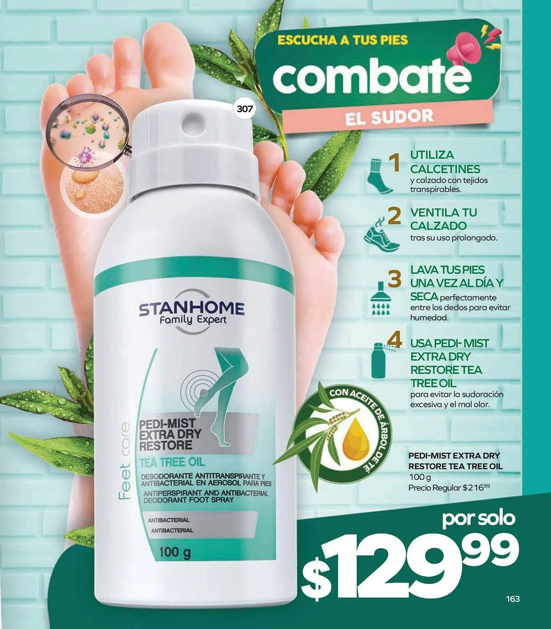 Catálogo de Catálogo Stanhome 19 de enero al 6 de febrero 2026 - Pagina 165