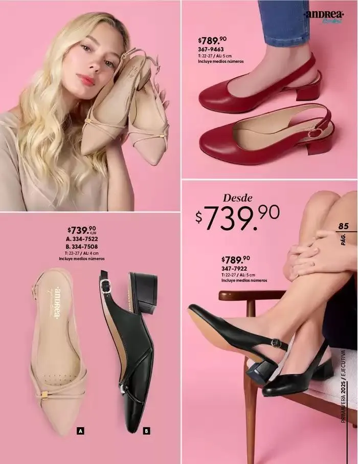 Catálogo de Ofertas principales y descuentos 5 de febrero al 31 de mayo 2025 - Pagina 85