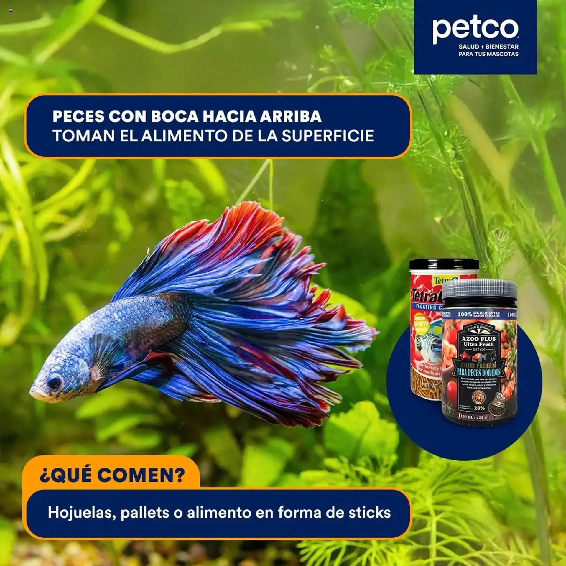 Catálogo de Catálogo Petco 30 de mayo al 14 de junio 2025 - Pagina 2