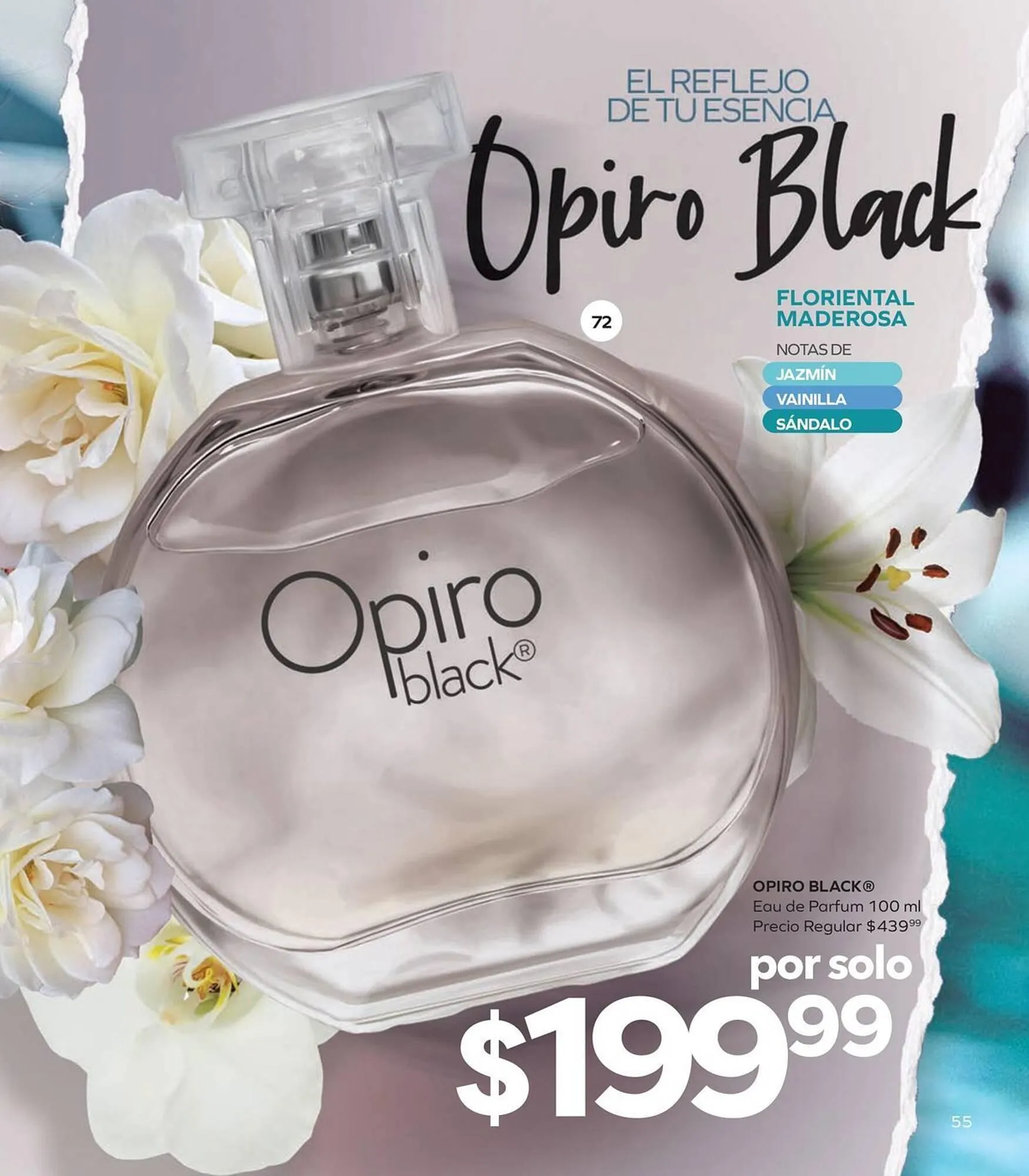 Catálogo de Catálogo Stanhome 6 de enero al 17 de enero 2026 - Pagina 59