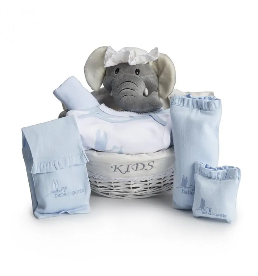Canasta Bebé Post-Hospital Esencial