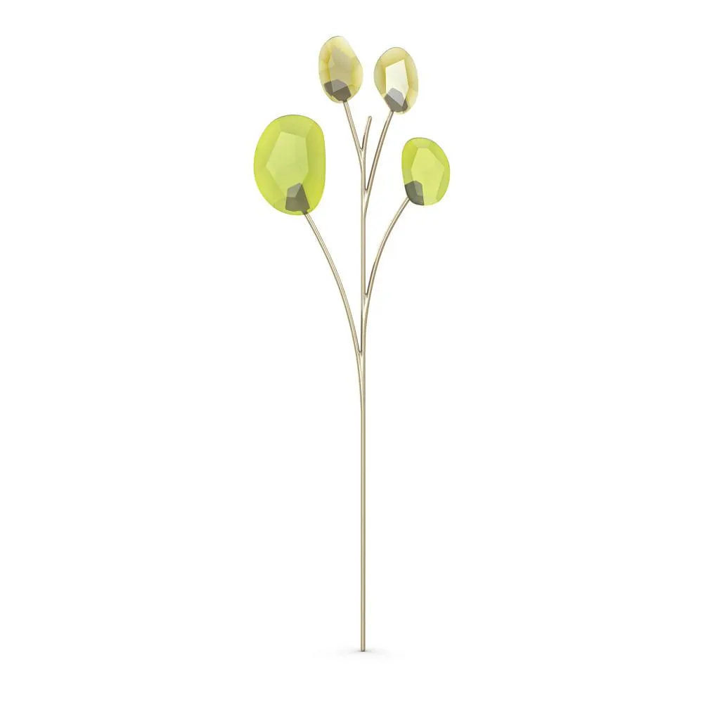 Garden Tales Eucalipto