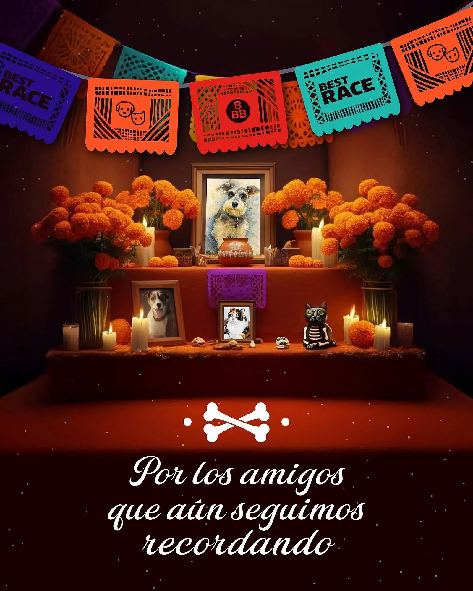 Catálogo Tiendas Tres B - 1