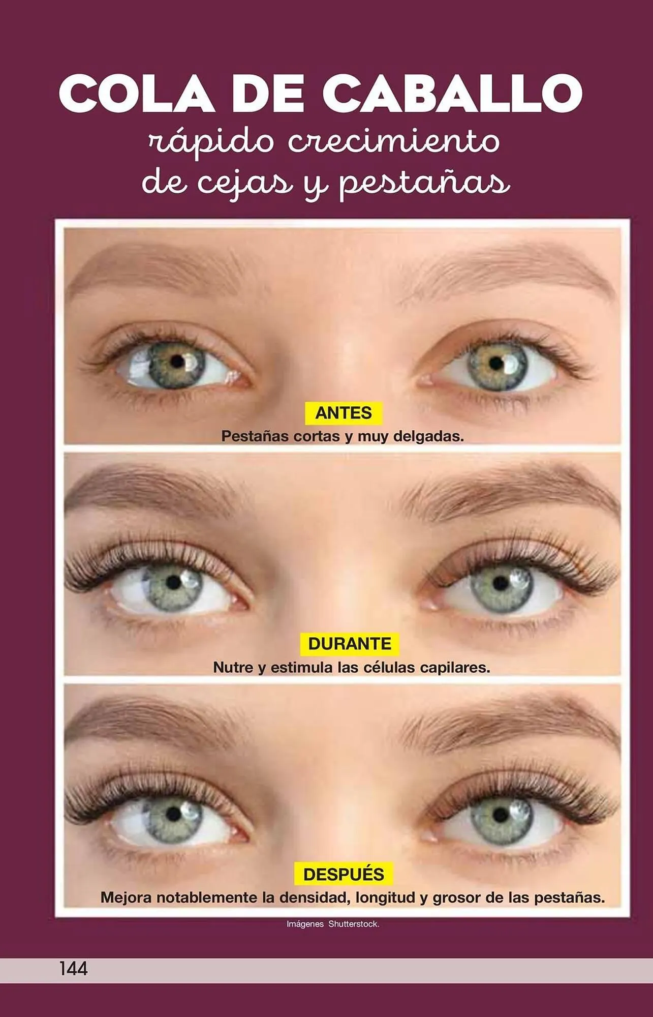 Catálogo de Catálogo Arabela 9 de julio al 24 de julio 2025 - Pagina 146