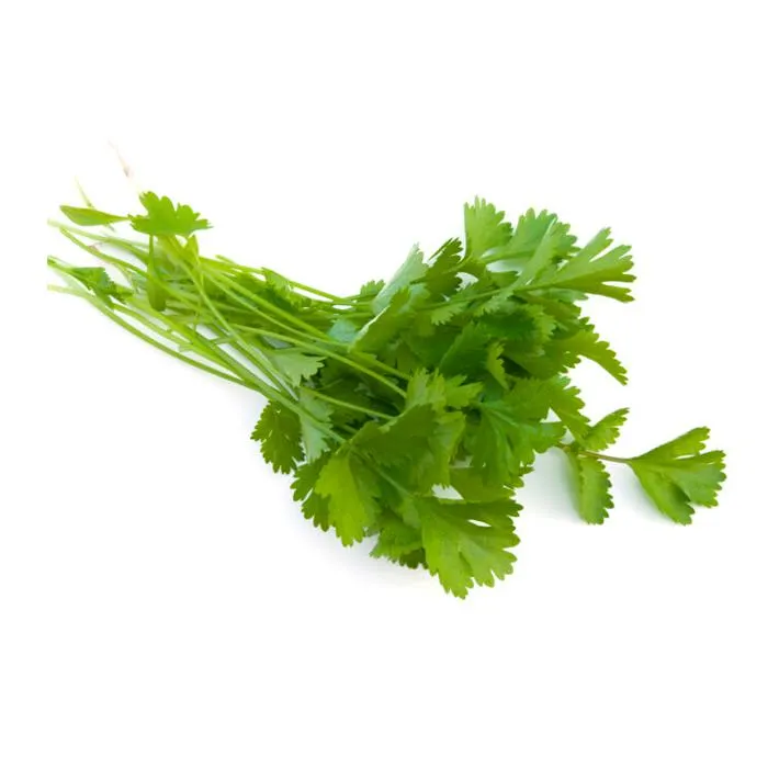 CILANTRO. 1 PZA.